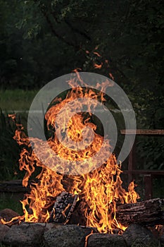 woods are burning in fireplace, warm, heat, fire. camping in nat