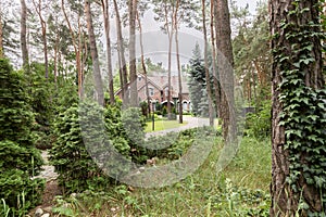 Woods with bushes and trees with an english style house in the background