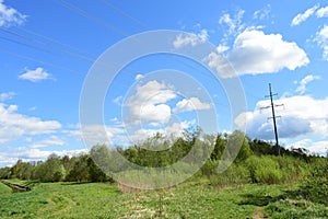 The woods Creek trail, the road. Deciduous trees, young foliage and grass. Cloudy sky