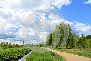 The woods Creek trail, the road. Village. Deciduous trees, young foliage and grass. Cloudy sky