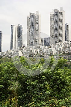 Woods with high rise buildings