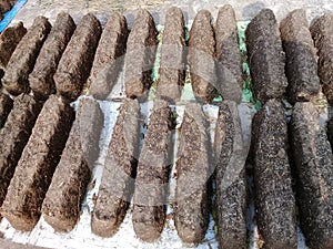 Woods made from cow dung