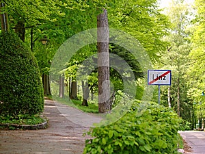 Woods in public park in Linz city with Linz ending board sign