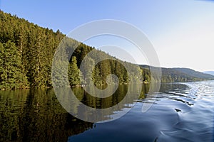 Woods Reflections in Titisee