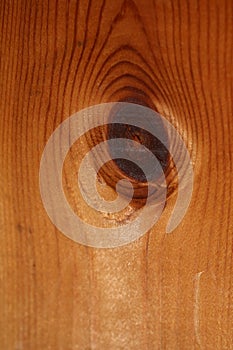 Woods seeing eyes close up abstract texture plate of pine wood with a branch eye knot hole background brown yellow wooden stock