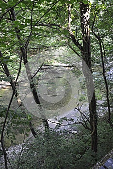 Woodscape at Baile Herculane Resort in Romania