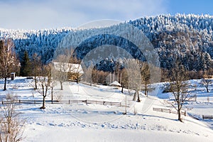 Woodshed on the hillside in winter mountains