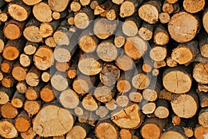 Woodshed with logs cut and perfectly aligned for heating during