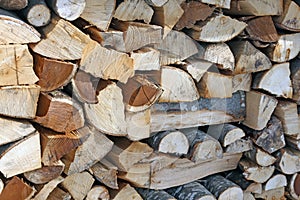 Woodshed with pieces of wood cut