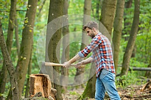 Woodsman cut tree stump with ax, outdoor