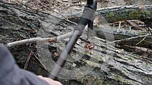 woodsman, an elderly man with an ax cuts branches on tree in open air, close-up