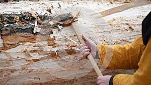 Woodsman hands removing bark from big tree trunk with manual axe. Close up