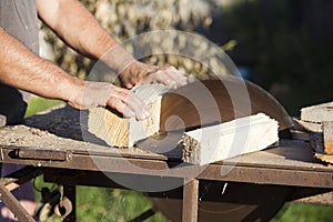 Woodsman working on saw