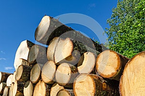 Woodstack by a blue sky