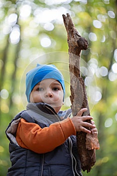 Woodsy Adventures: Boy Explores the Forest with Firewood