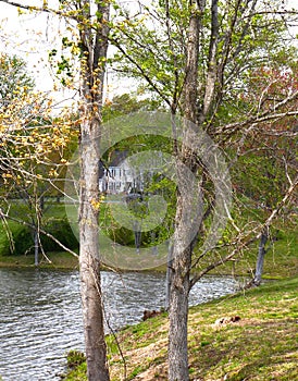 Woodsy Scene of Lake Home