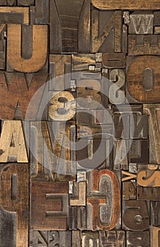 Woodtype 6