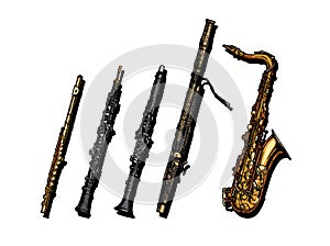 Woodwind musical instruments set