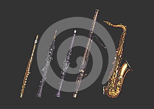 Woodwind musical instruments set