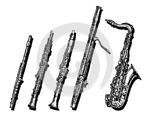 Woodwind musical instruments set