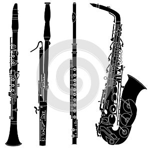 Woodwind musical instruments in vector