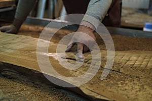 The woodworker examines the grain patterns of a beautiful burl slab. Each line and knot narrates the history of the tree