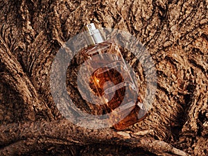 Woody fragrance. Perfume spray bottle on wooden tree bark as background. Transparent glass cologne aroma template. Woody