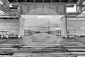 Woody Point Jetty. Black and White.