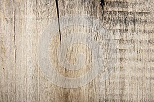 Woody texture as background