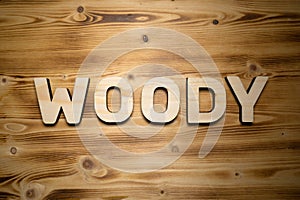 WOODY word made with building blocks on wooden board