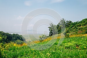 Wooeum island green nature scenery from Songsan Green City Observatory in Hwaseong, Korea