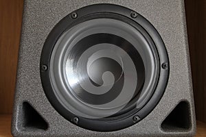 Woofer or bass cone of a high end hi-fi speaker cabinet