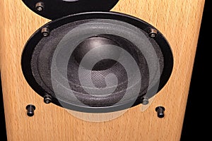 Woofer of the home loudspeaker in wooden housing close-up