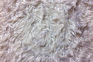 Wool Backgrounds Texture, Closeup of Natural Soft White Animal Fluffy Fur Background Texture for Luxury Furniture Material