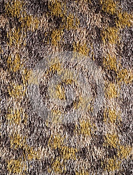 Wool carpet texture