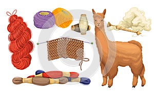 Wool knitting concept set