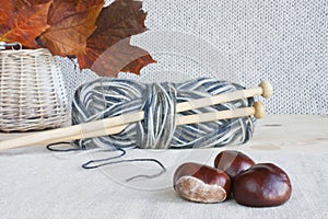 Wool, knitting needles, autumn leaves, horse chestnuts.