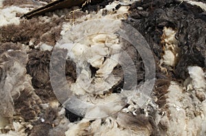 Wool Pile