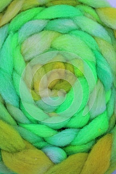 Wool roving