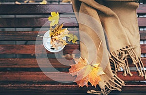 Wool scarf and paper cup with cooffe arre on wet brench in autumn park photo