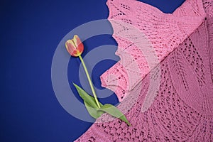 Wool shawls on blue background