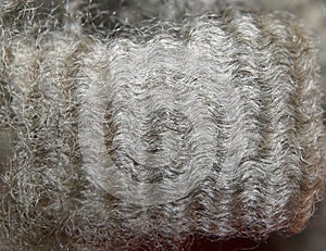 Wool staple photo