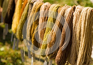 Wool threads colored with natural colorants photo