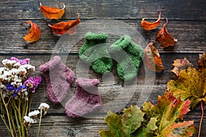 Woolen baby socks on dark wooden background and dried autumn leaves and flowers