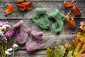 Woolen baby socks on dark wooden background and dried autumn leaves and flowers