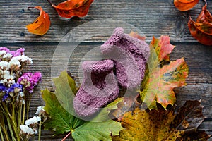 Woolen baby socks on dark wooden background and dried autumn leaves and flowers