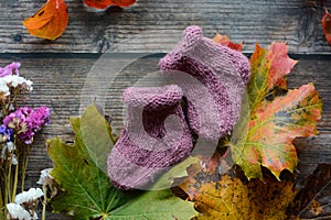 Woolen baby socks on dark wooden background and dried autumn leaves and flowers