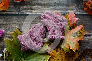 Woolen baby socks on dark wooden background and dried autumn leaves and flowers