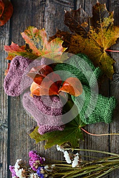 Woolen baby socks on dark wooden background and dried autumn leaves and flowers