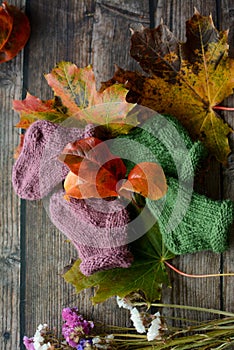 Woolen baby socks on dark wooden background and dried autumn leaves and flowers